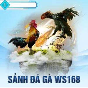 Trải nghiệm sòng bạc trực tuyến đỉnh cao