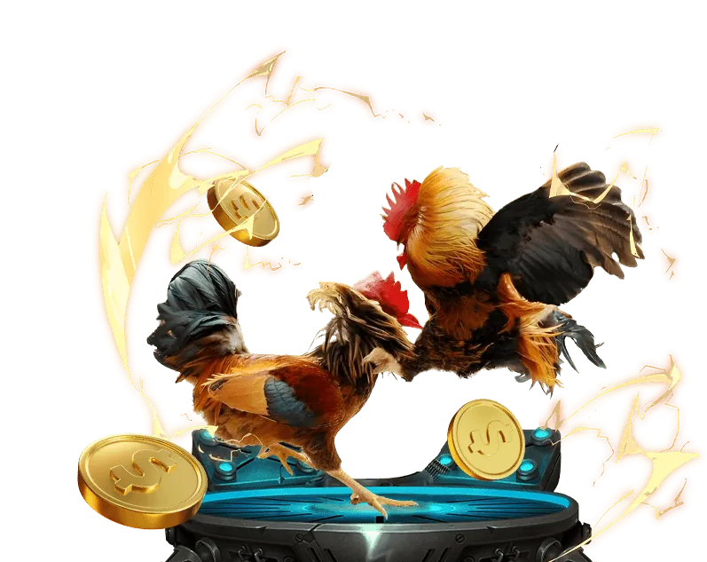 Hình ảnh minh họa chơi có trách nhiệm tại trực tiếp đá gà c3